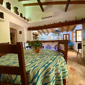 Puerto De Pollensa And Apartments, With Private Mountain Ideal For Runners, Trailers,near Approximately 5 Minutes Walking, Unique Experience In A Ullal Old Typical Mallorca House With Private Mountain And Near To The Beac Appartement Port de Pollença